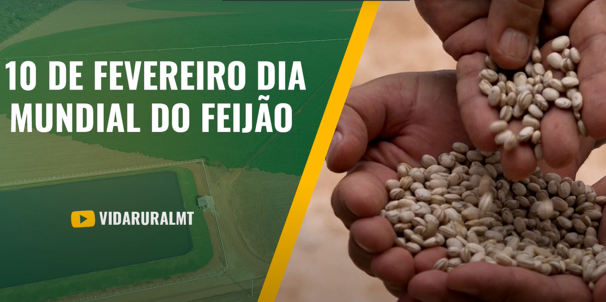 DIA MUNDIAL DO FEIJÃO